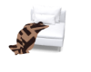 Mel W/B Fendi Chair