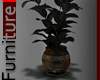 Dark Rustic Plant