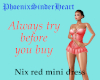 Nix red mini dress