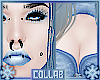 Snowflake | Skin