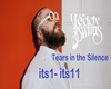 T Swims - in the Silence