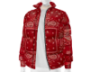 PL Bang Red Puffer