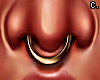 Nose Piercing |Gold