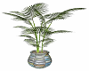 Zen Planter w Palm Tree