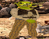 Shrek! full avatar!