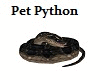 Python Snake w Actions