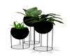 Plant set black ♥