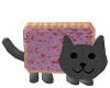 Pop Tart Cat