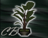 >CB< SH Plant