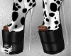Dog Boots