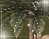Palmtree  Light