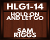 sam riggs HLG1-14