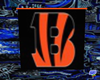 Bengals Banner