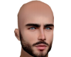 Head 04