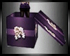 Gift Purple Box  Pose 