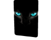 🅂 Blue Eyes Cat