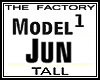 TF Model Jun 1 Tall