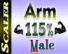 Arm Resizer 115%