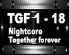 Nightcore 2Gether 4Ever
