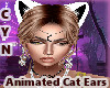 Animated Cat Ears
