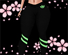 Sport Pant Green Rll