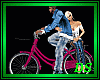 *Bicycle Couple  /P