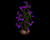 Plant Decor Z3