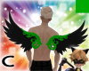 (C) Green Wings V1