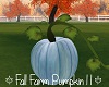Fall Farm Pumpkin 11
