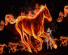 WL Horses Of Hell Pulse