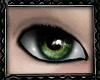 [E]*Make Green Eyes Pop*