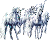 Unicorn1