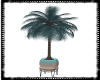 Raine Palm Tree