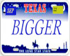 AM*Texas License Plate