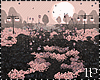 Bundle Black Pink Roses