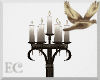 EC| SC Candle Stand