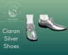 Ciaran Silver Shoes