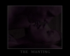 The Wanting Poster