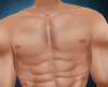 [S] Perfect Muscles