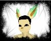*RS*Leafeon Ears