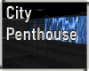 City Penthouse