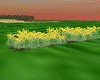 [FARM] yellow flowerbed