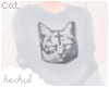 |H| Cat ✞ | Sweater.