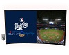 WS Game 2025