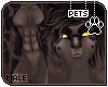 [Pets] Apollo | abs fur