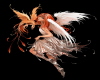 FAIRY#3