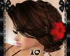 {IO} Fannie Brunette