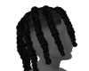 Black Twists
