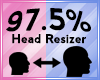 BF- Head Scaler 97.5%