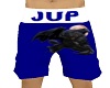 Jup's Gym Shorts